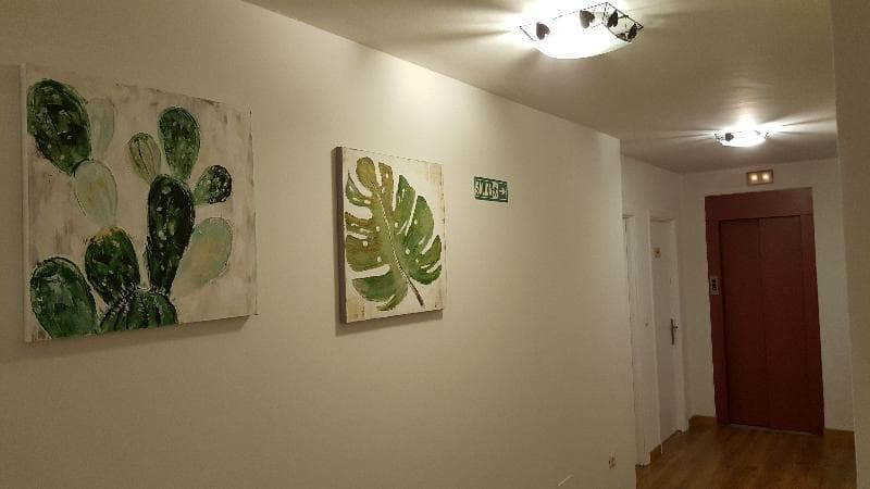 Los Acebos Cangas 5