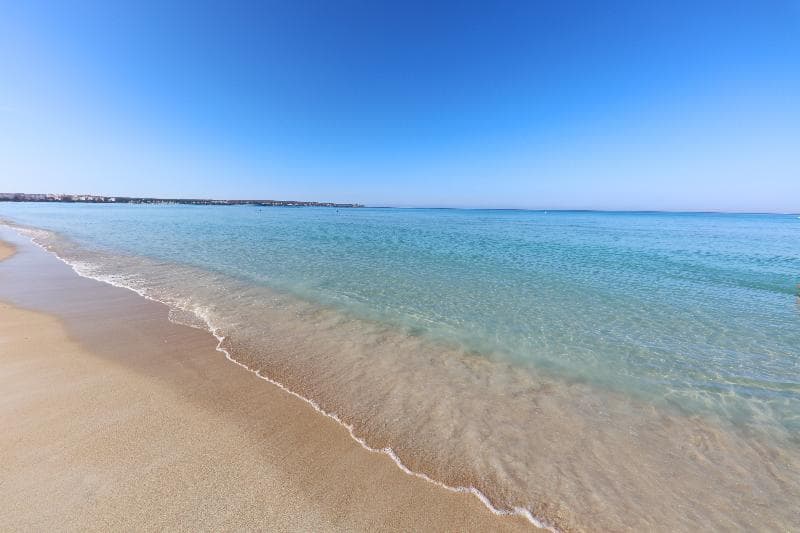 Iberostar Bahía De Palma - Adults Only 5