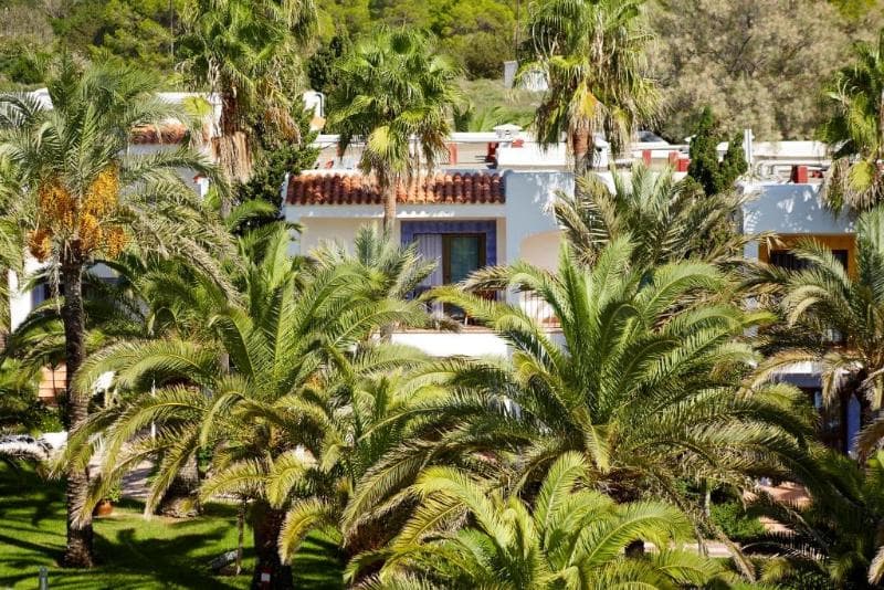 Insotel Hotel Formentera Playa 4