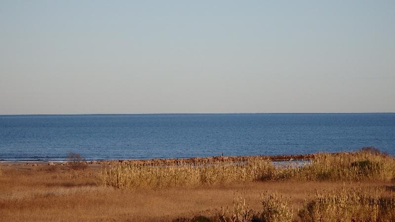 Flag Hotel Valencia Florazar 5