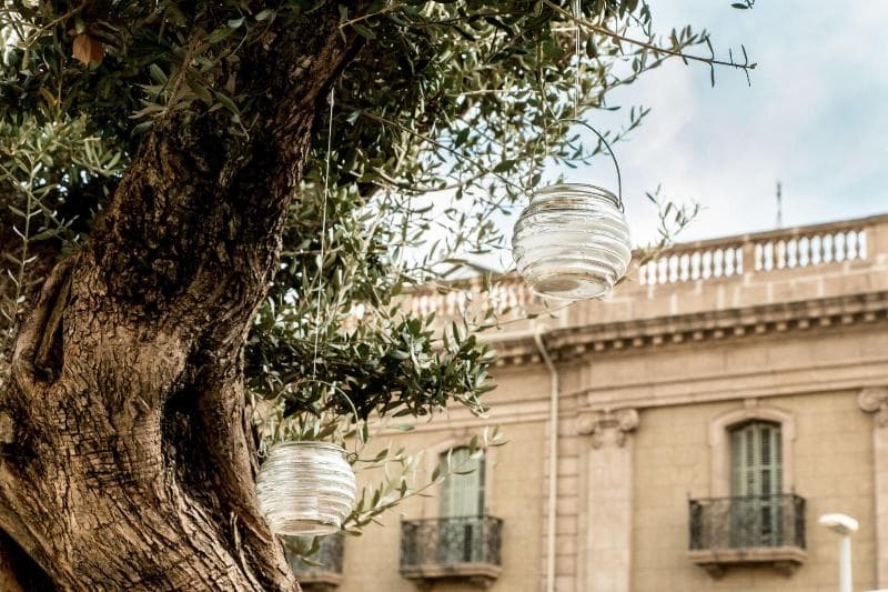 Hotel Oasis Barcelona (Adults Only) 5