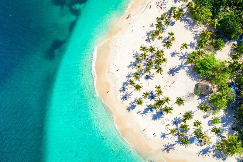 Wyndham Alltra Samana All-Inclusive Resort 4