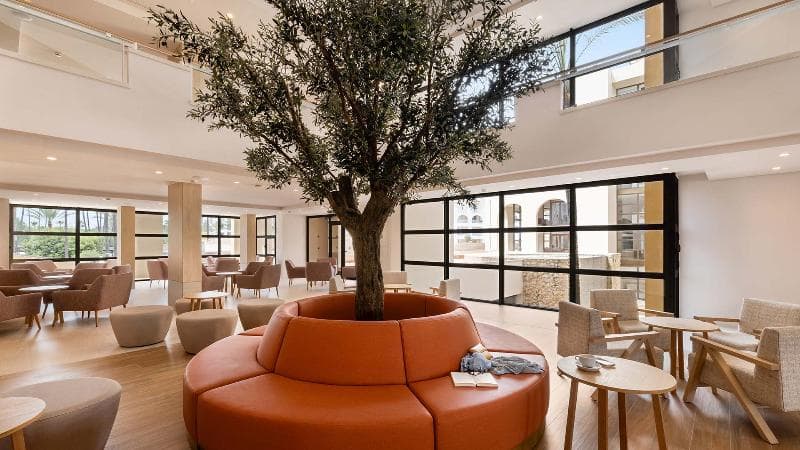 Protur Safari Park Aparthotel - All Inclusive 4