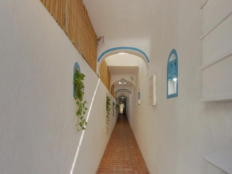 Pelicano Inn Playa Del Carmen - Beachfront Hotel 4