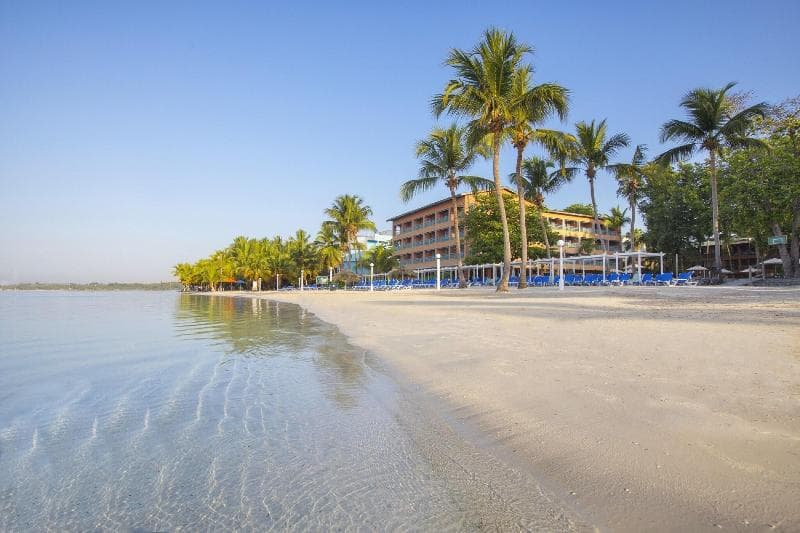 whala! boca chica photo 1