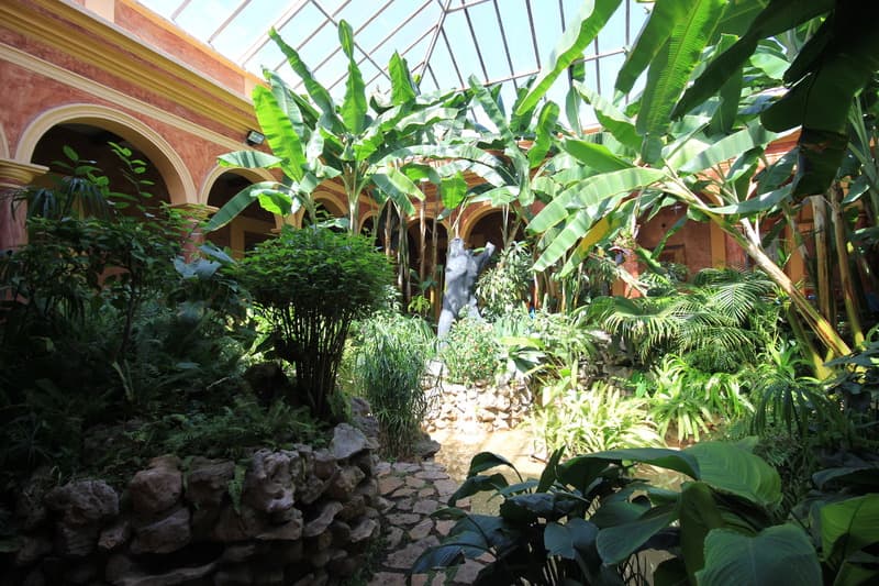 Casa Mexicana 3