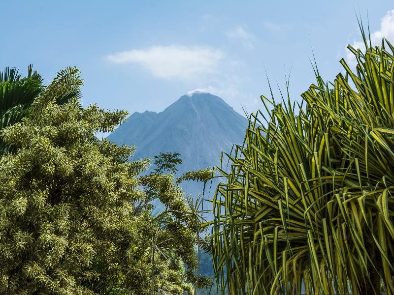 Arenal Paraiso Resort & Thermo Mineral Hot Springs 4