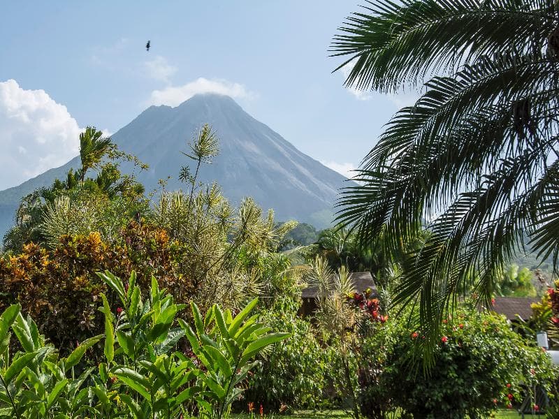 Arenal Paraiso Resort & Thermo Mineral Hot Springs 5