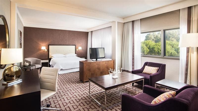 Sheraton Roma Hotel And Conference Center 2