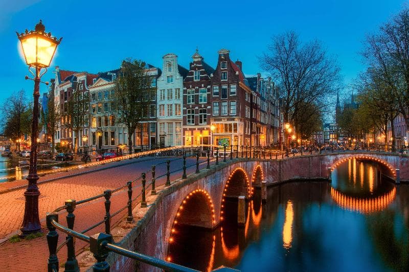 Hilton Amsterdam Airport Schiphol 4