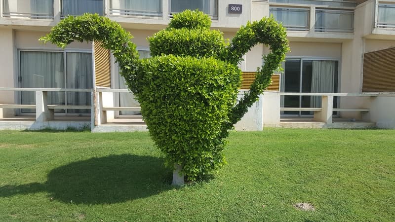 Pyramids Park Resort 3