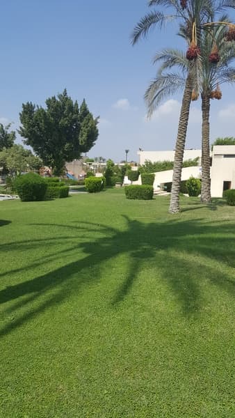 Pyramids Park Resort 2