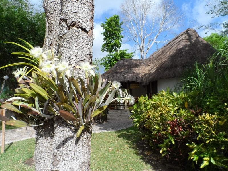 Chicanná Ecovillage Resort 3