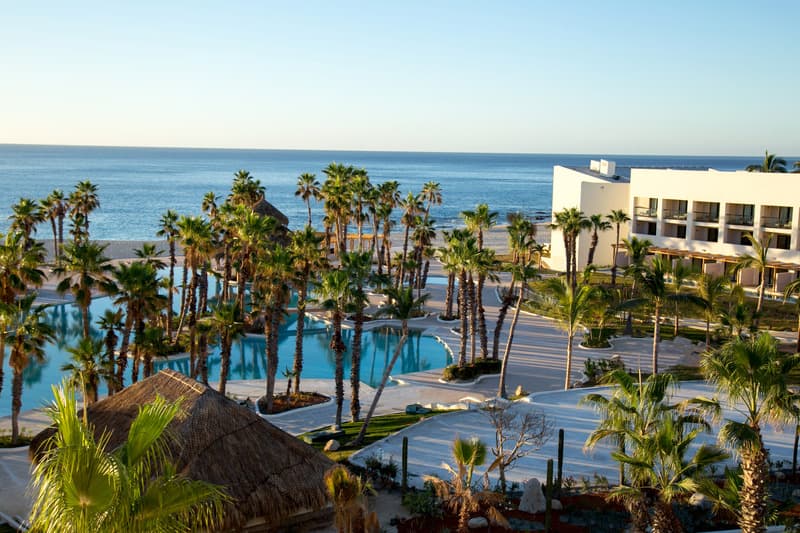 Paradisus Los Cabos - Adults Only photo 1
