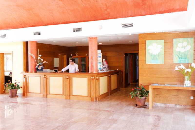 Comitas Isla del Aire 2