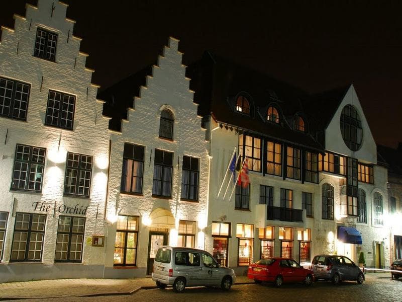 Golden Tulip de Medici 3