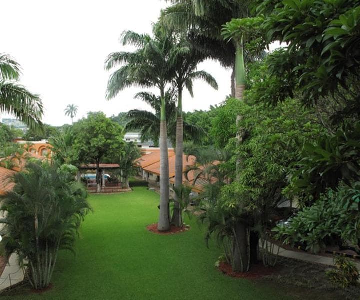 Palmareca Suites & Hotel main