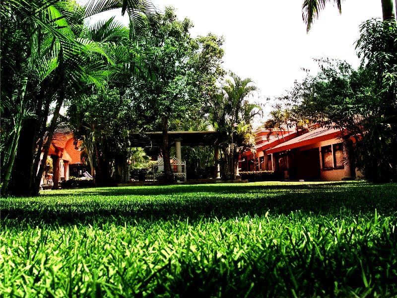 Palmareca Suites & Hotel photo 1