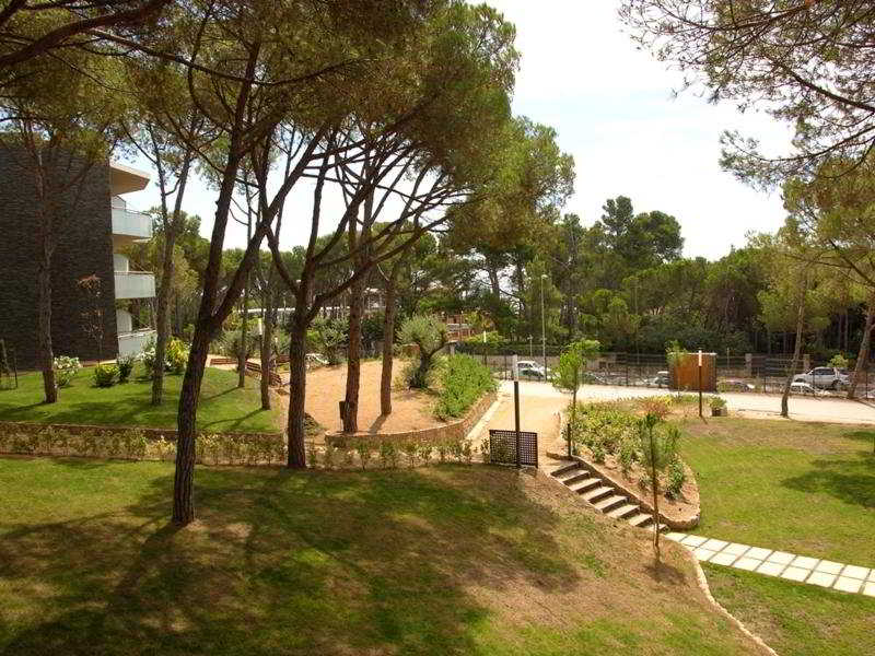Ciutat De Palol 2
