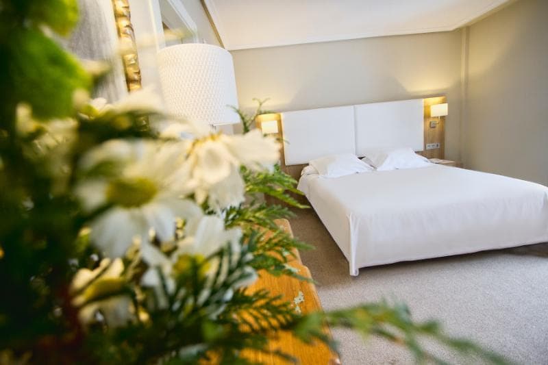 Hotel Los Lagos Nature 2