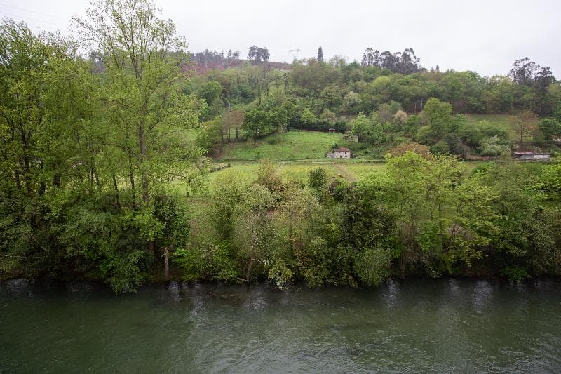 Ciudad De Cangas De Onís photo 1