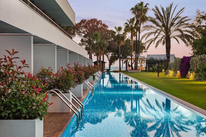 Acanthus Cennet Barut Collection 3