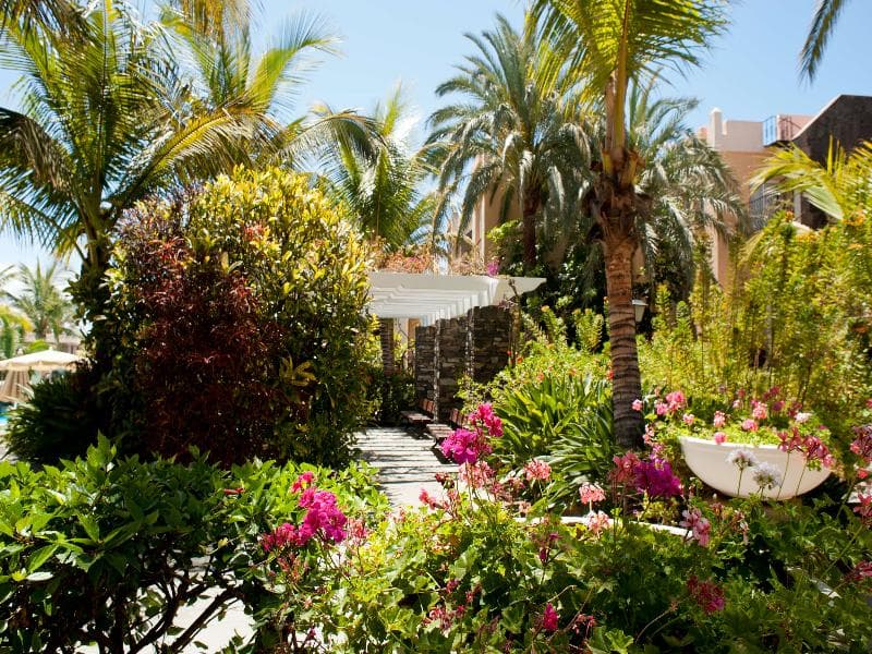 Palm Oasis Maspalomas 2