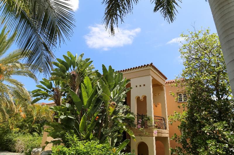 Palm Oasis Maspalomas photo 1