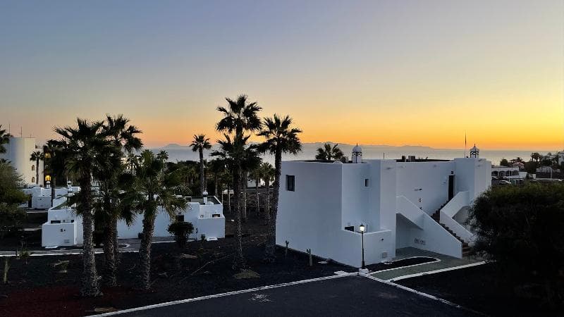 Palmeras Garden 3