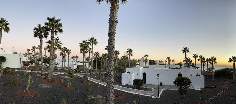 Palmeras Garden 5