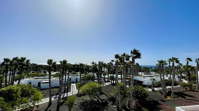 Palmeras Garden 2