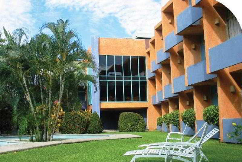 Calli photo 1