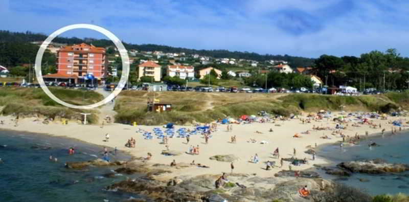 Delfin Azul 4