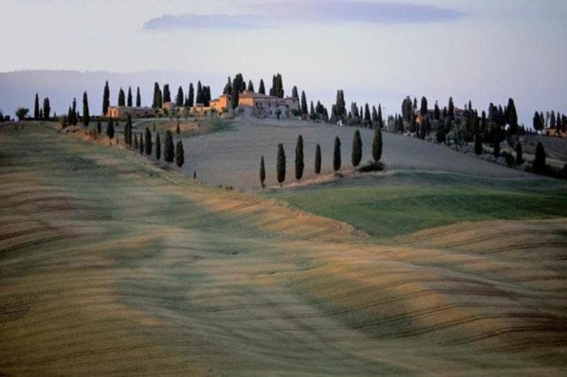 Castello Di Leonina Relais (Adults Only) 4