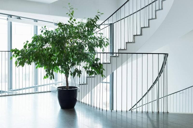 Scandic Park Stockholm 5