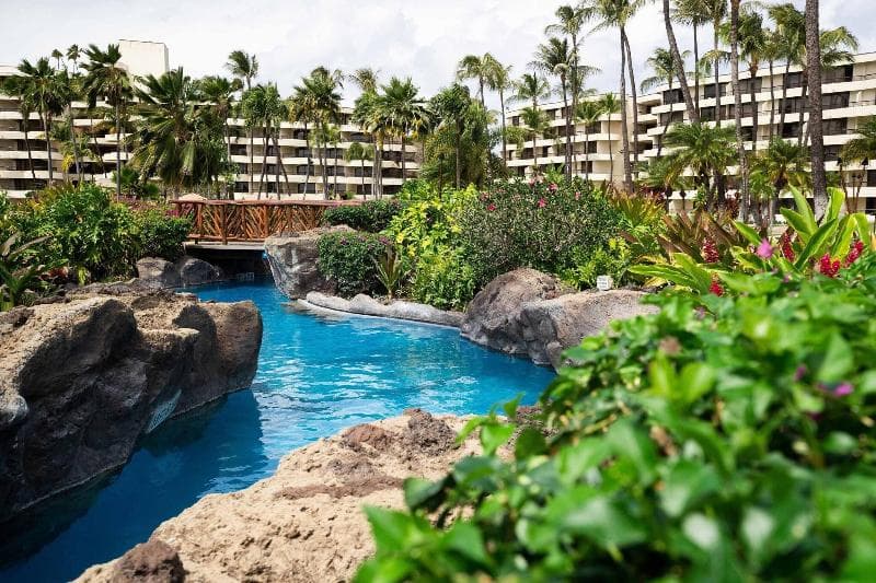 Sheraton Maui Resort 5