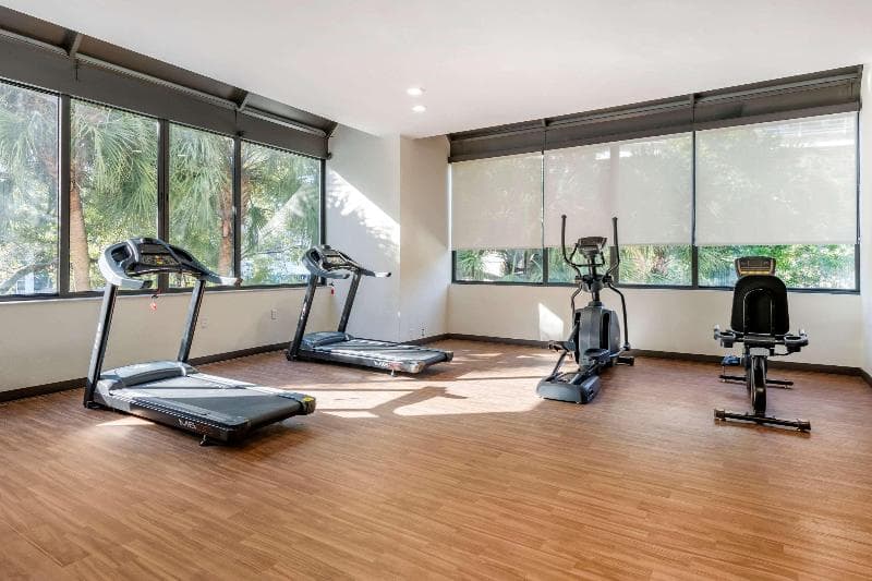 Comfort Inn & Suites Downtown Brickell-Port of Miami 3