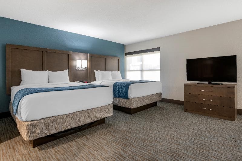 Comfort Inn & Suites Downtown Brickell-Port of Miami 5