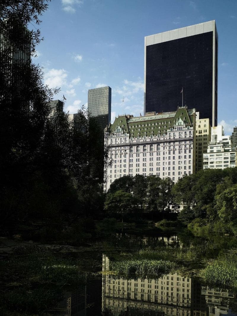 The Plaza Hotel 2