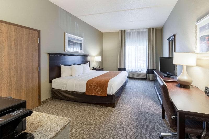 Comfort Suites Austin Airport 5