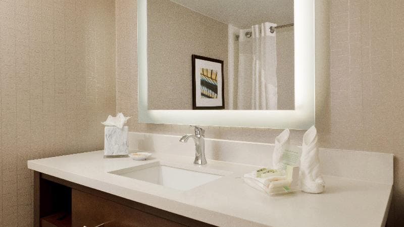 Holiday Inn San Antonio Riverwalk 5