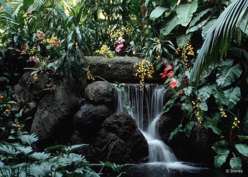 Disney's Polynesian Village Resort photo 1