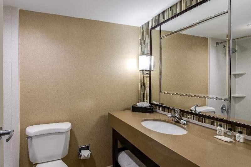 Crowne Plaza Resort Asheville 4