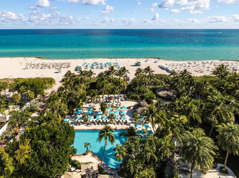 The Palms Hotel and Spa 5