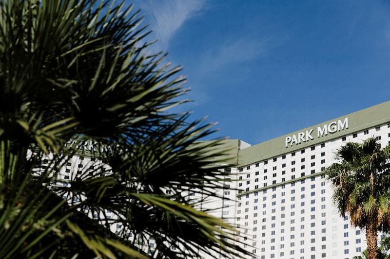Park MGM Las Vegas 3