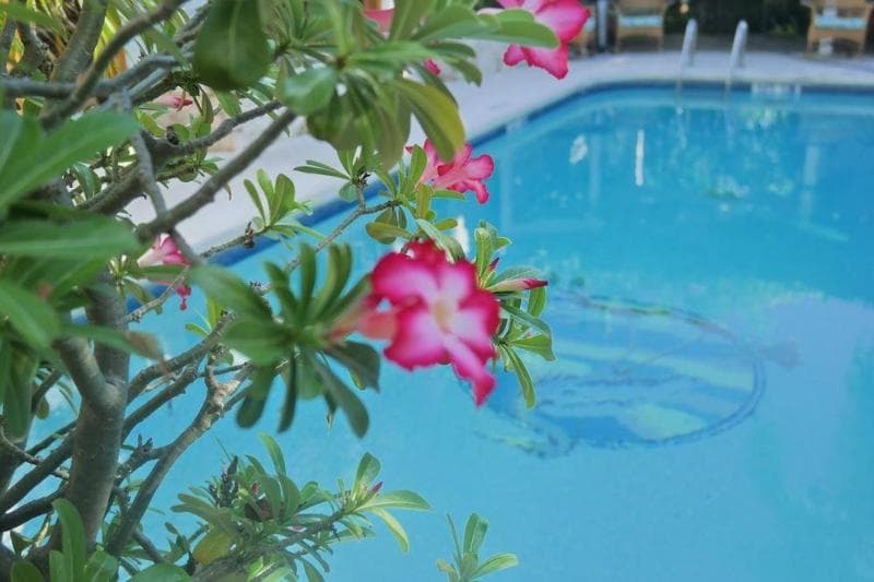Heron House - Adult Only photo 1