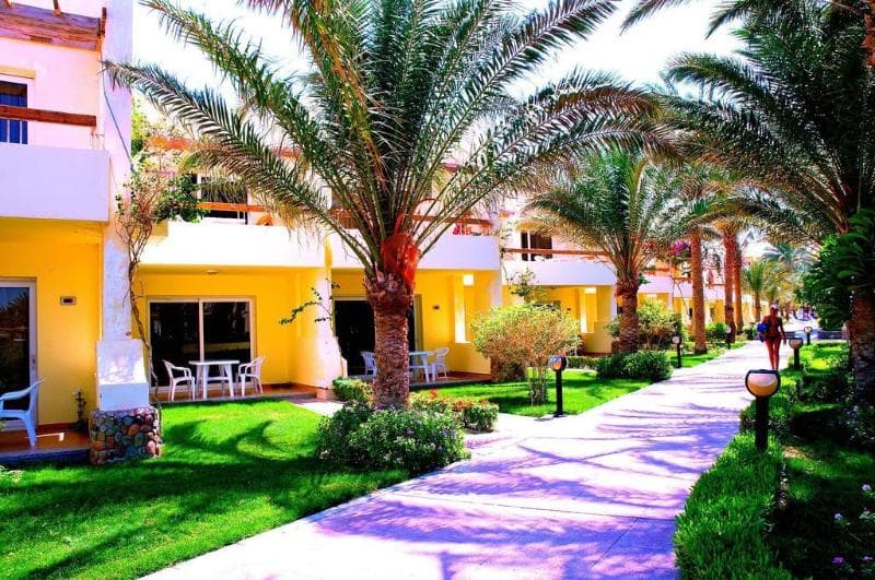 Palm Beach Resort 3