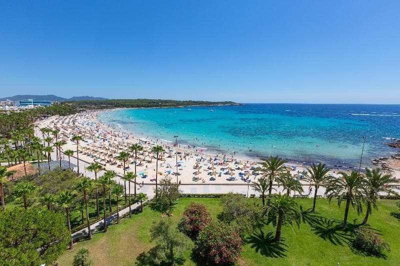Hipotels Mediterraneo (Only Adults) 5