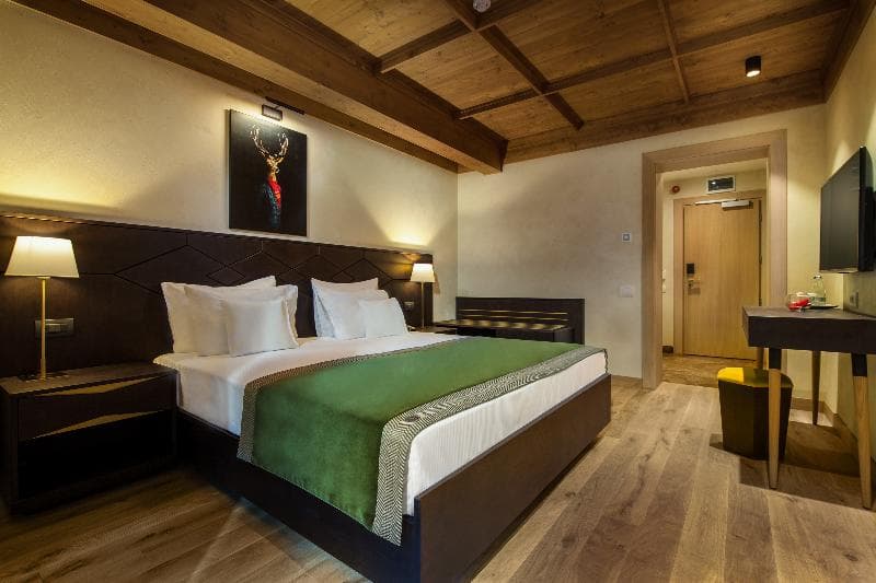 ANA Hotels Bradul 5