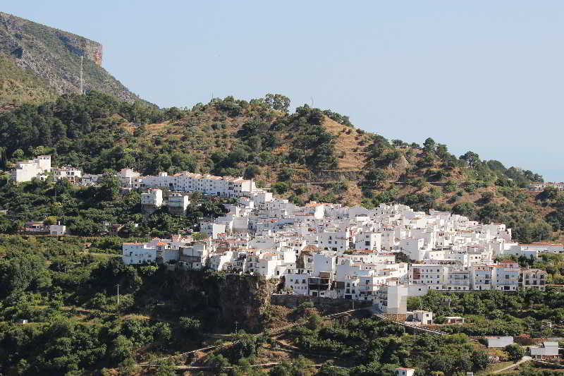 Los Jarales photo 1